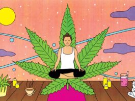 Weed and Wellness-The Positive Impact of Cannabis on Health and Lifestyle