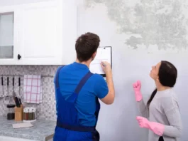 mold inspection in home