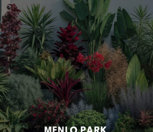 Plants for Your Menlo Park Landscape Design