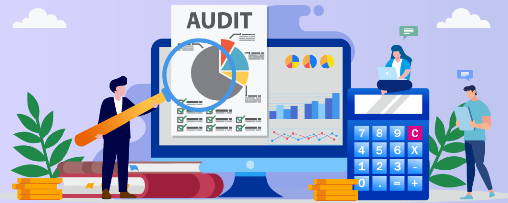 audit platform